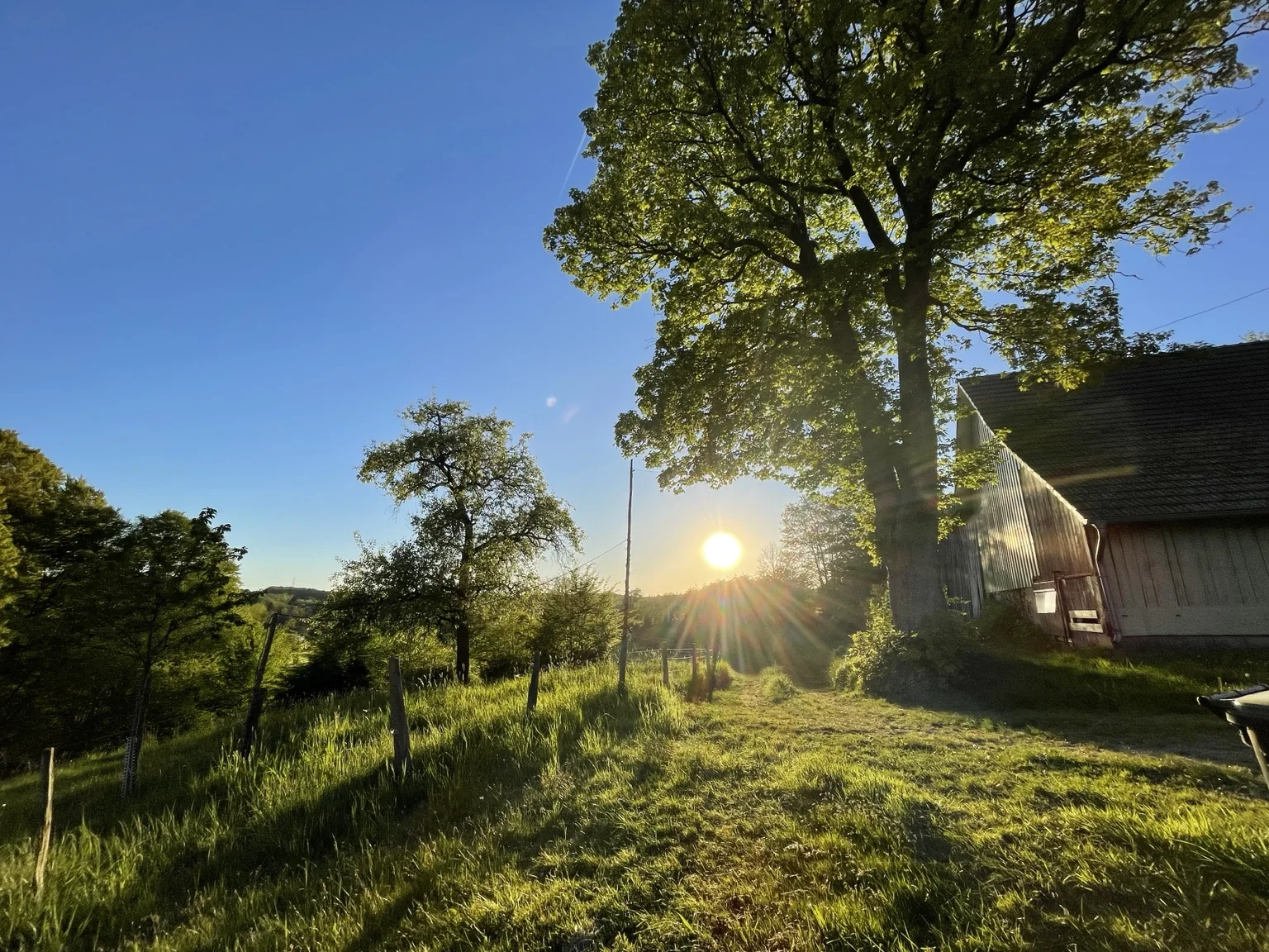 Wiesen und Scheune in Pixberg in der Abendsonne